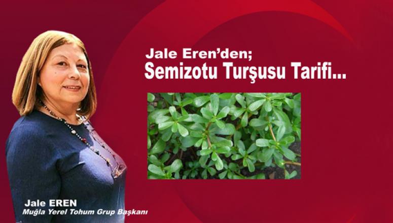 Semizotu turşu tarifi: