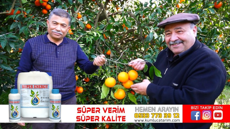 Dumanoğlu'ndan Narenciye Üreticilerine Uyarı: “Başarının Anahtarı Planlama ve Mücadele”