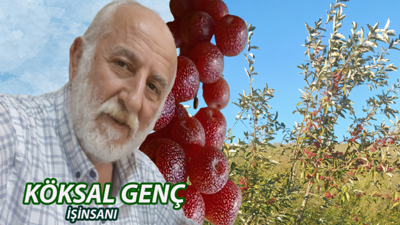 Köksal Genç, tarımda yeni bir alternatif ürün için kolları sıvadı