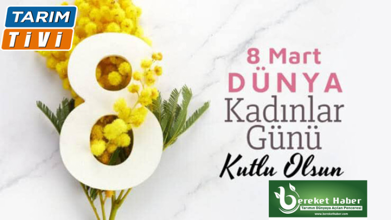 Ata Tohumlarını Kadınlar Yaşatıyor