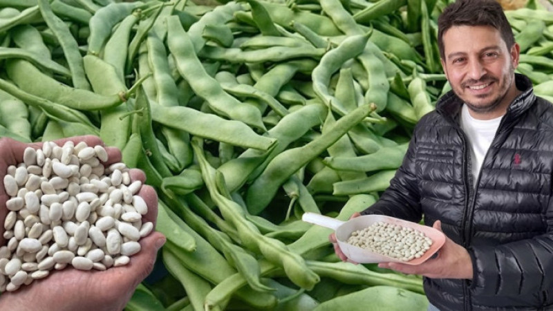 Nebiyan Fasulyesinde Yeni Sezon: Ata Tohumu Satışları Başladı.