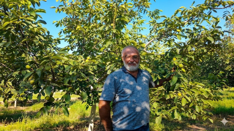 Ceviz Üreticisi Ahmet Duran: “Kaliteli Üretim Bilgi ve Teknoloji ile Mümkün”