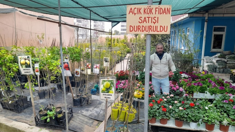 Açık Kök Fidan Satışı Sona Erdi