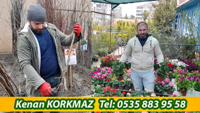 Üreticiye Müjde: Fidan Dikimi Nisan Sonuna Kadar Uzadı