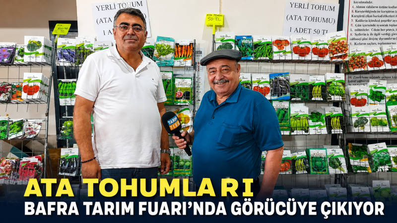 ATA TOHUMLARI BAFRA TARIM FUARI’NDA GÖRÜCÜYE ÇIKIYOR