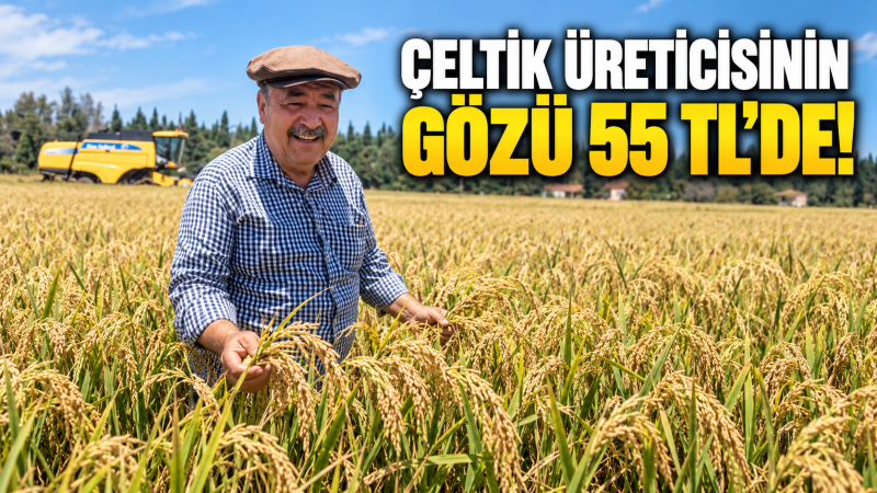 ÇELTİK ÜRETİCİSİNİN GÖZÜ 55 TL’DE!