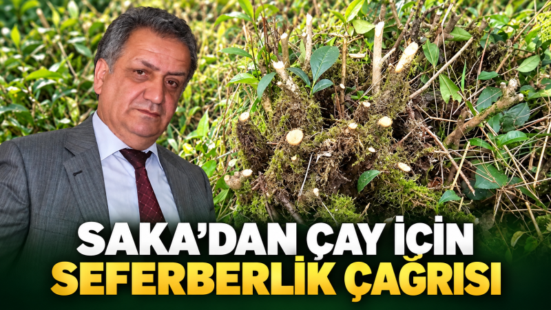 SAKA’DAN ÇAY İÇİN SEFERBERLİK ÇAĞRISI