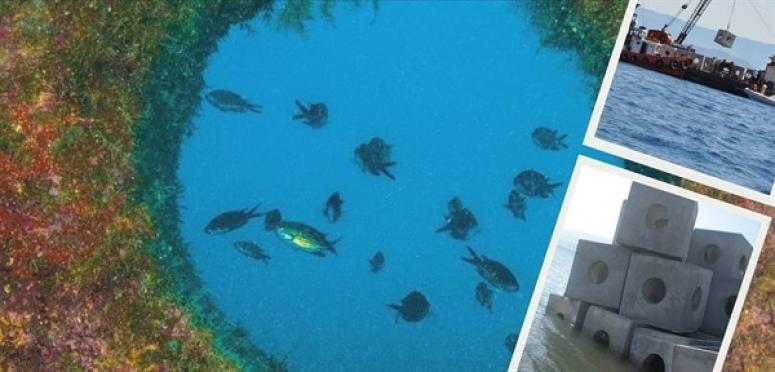 TÜRKİYE DENİZLERİ VE İÇ SULARI