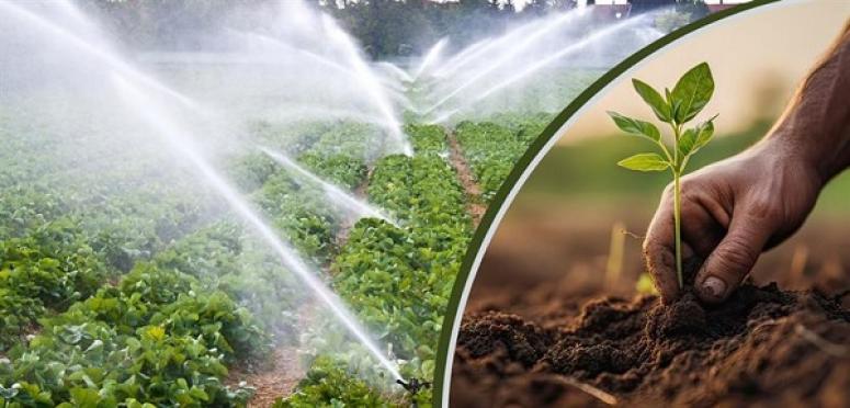 TARIMSAL DESTEK ÖDEMESİ ÇİFTÇİLERİN HESAPLARINA AKTARILIYOR
