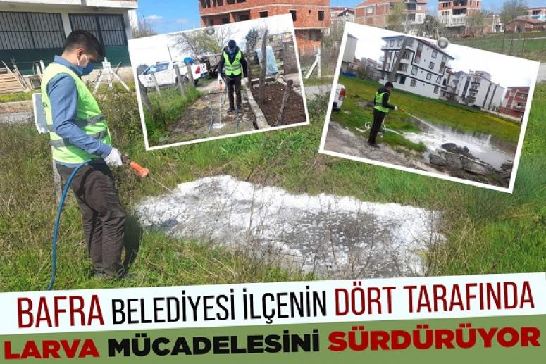 BELEDİYEDEN LARVA MÜCADELESİ